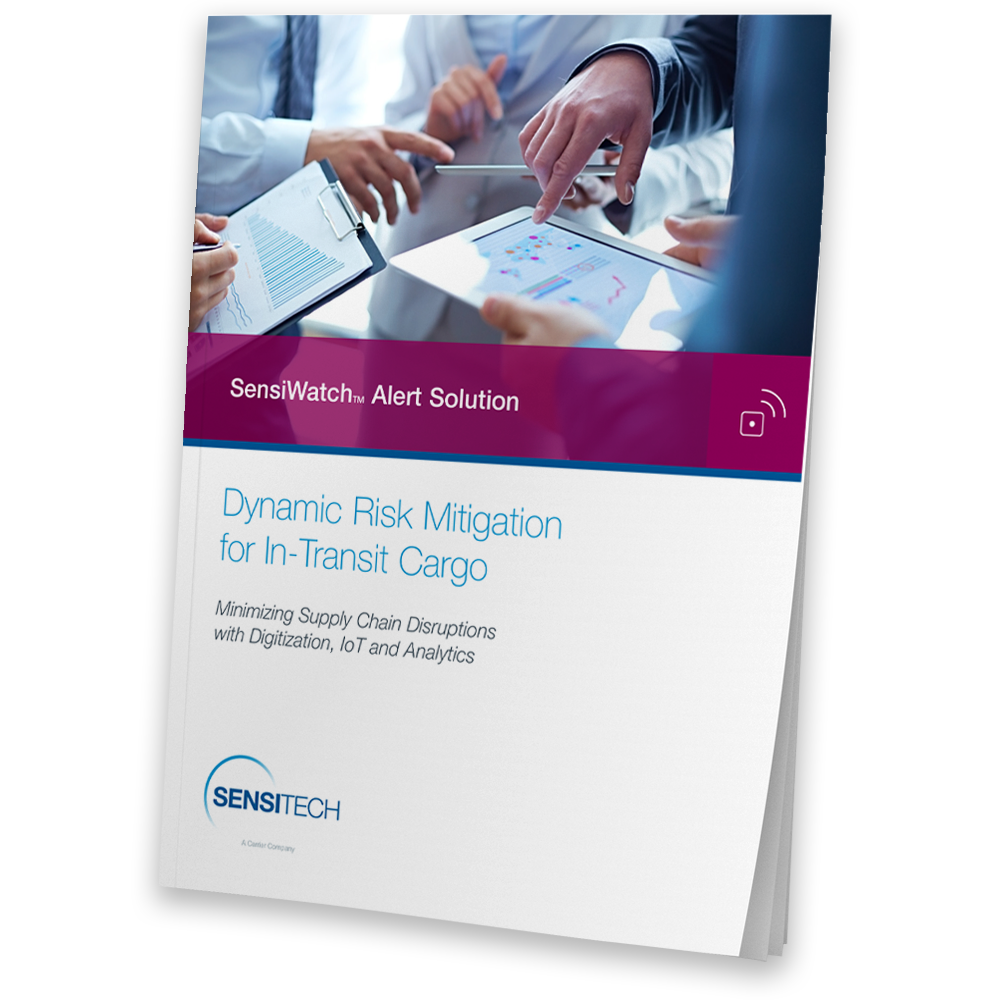 Dynamic-Risk-Mitigation