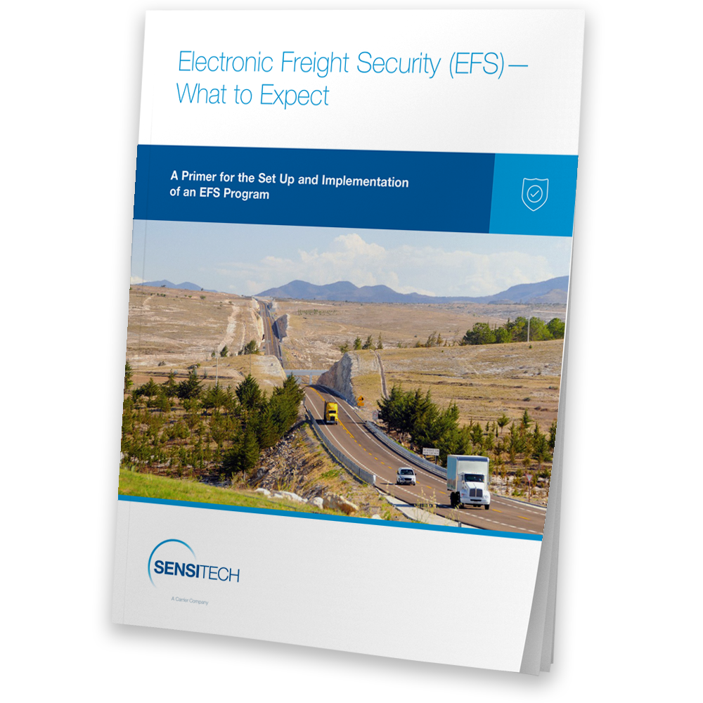Electronic-Freight-Security